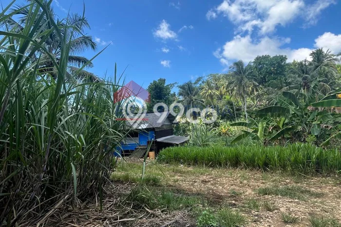 Lahan Dijual Lokasi Bantur, Malang dengan Luas Tanah 14355m2 dan Status - Lahan Dijual Lokasi Bantur, Malang dengan Luas Tanah 14355m2 dan Status -