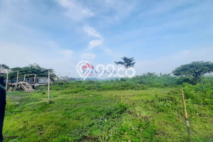 For Sale Tanah di Jombang, Luas 140m2m², Dekat Jombang, Jombang, Jombang For Sale Tanah di Jombang, Luas 140m2m², Dekat Jombang, Jombang, Jombang
