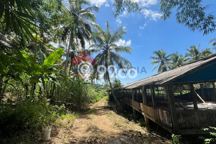 Lahan Dijual Lokasi Bantur, Malang dengan Luas Tanah 14355m2 dan Status - Lahan Dijual Lokasi Bantur, Malang dengan Luas Tanah 14355m2 dan Status -