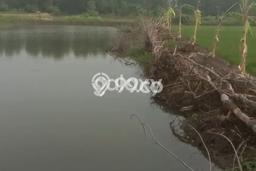 Lahan Dijual Lokasi Cerme, Gresik dengan Luas Tanah 1922m2 dan Status SHM Lahan Dijual Lokasi Cerme, Gresik dengan Luas Tanah 1922m2 dan Status SHM