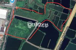 Tanah Kavling untuk Dijual di Cerme Gresik 50000m2 Tanah Kavling untuk Dijual di Cerme Gresik 50000m2