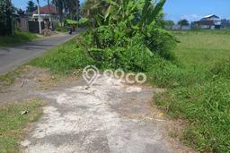 Kavling Tanah di Gianyar Dijual Luas 975m2 Legalitas SHM Kavling Tanah di Gianyar Dijual Luas 975m2 Legalitas SHM