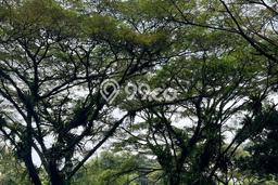 Lahan Dijual Lokasi Strategis di Bogor dengan Luas 995m2 Lahan Dijual Lokasi Strategis di Bogor dengan Luas 995m2