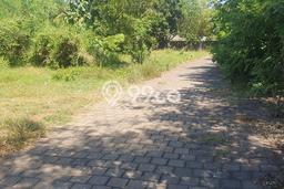 Tanah Disewakan Lokasi Badung Seluas 2135m2 Strategis dan Aman Tanah Disewakan Lokasi Badung Seluas 2135m2 Strategis dan Aman