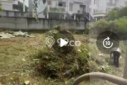 Tanah Kavling untuk Dijual di Jagakarsa Jakarta Selatan 4077m2 Tanah Kavling untuk Dijual di Jagakarsa Jakarta Selatan 4077m2