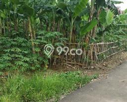 Kavling Tanah di Ciampea Dijual Luas 13850m2 Legalitas SHM Kavling Tanah di Ciampea Dijual Luas 13850m2 Legalitas SHM