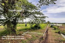 Tanah Dijual Lokasi Tabanan, Tabanan Luas 31000m2 Legalitas Aman Tanah Dijual Lokasi Tabanan, Tabanan Luas 31000m2 Legalitas Aman