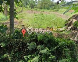 Lahan Kosong Dijual di Ciseeng, Bogor, Luas 11000m2 Area Strategis Lahan Kosong Dijual di Ciseeng, Bogor, Luas 11000m2 Area Strategis