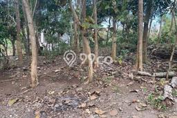 Untuk Dijual Tanah di Badung, Luas 2777m2 SHM Untuk Dijual Tanah di Badung, Luas 2777m2 SHM