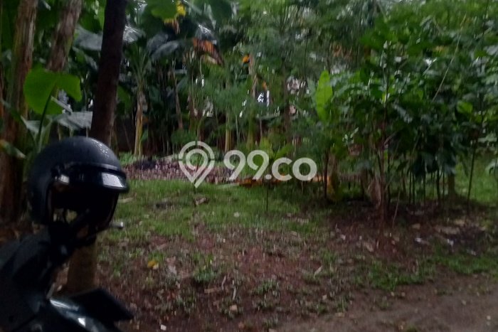 Tanah Kavling Dijual di Jakarta Selatan dengan Spesifikasi 2402m2 Tanah Kavling Dijual di Jakarta Selatan dengan Spesifikasi 2402m2