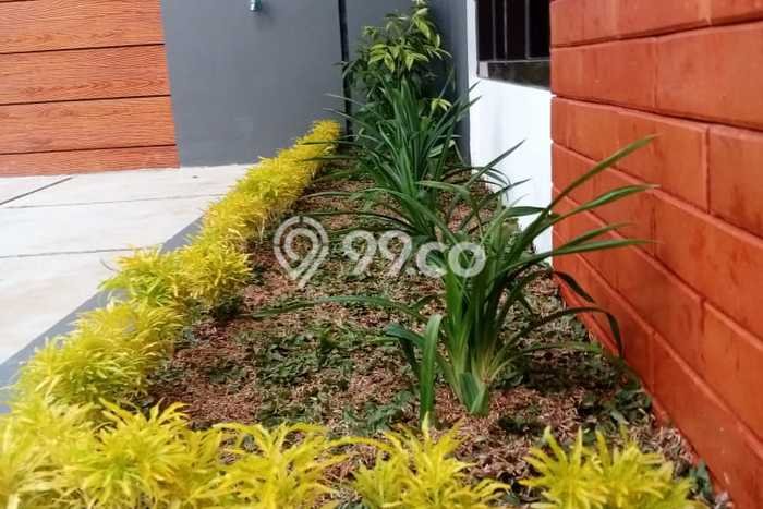Hunian Terjangkau Dijual di Sawangan, Depok Harga Rp 500 Juta Hunian Terjangkau Dijual di Sawangan, Depok Harga Rp 500 Juta