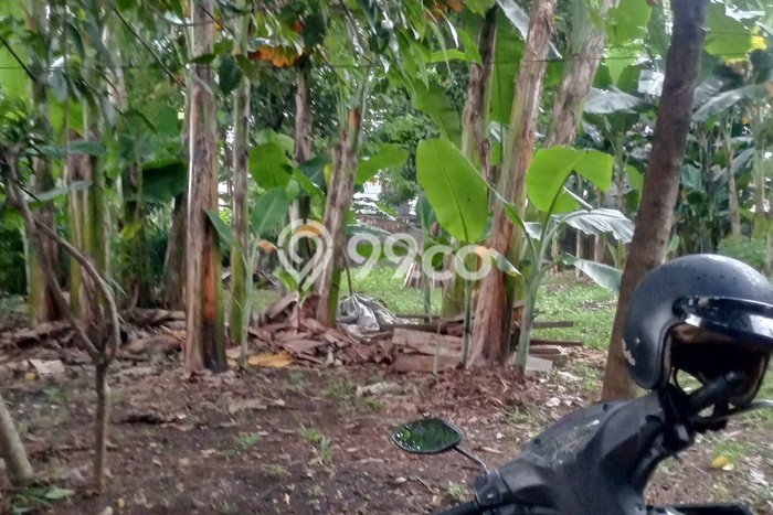 Tanah Kavling Dijual di Jakarta Selatan dengan Spesifikasi 2402m2 Tanah Kavling Dijual di Jakarta Selatan dengan Spesifikasi 2402m2