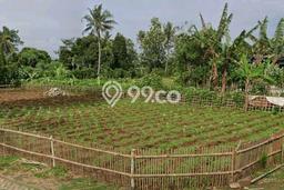 Tanah Dijual Lokasi Cisauk, Tangerang Luas 550m2 Legalitas Aman Tanah Dijual Lokasi Cisauk, Tangerang Luas 550m2 Legalitas Aman