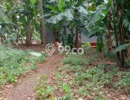 Kavling Tanah di Jagakarsa Dijual Luas 2000m2 Legalitas SHM Kavling Tanah di Jagakarsa Dijual Luas 2000m2 Legalitas SHM
