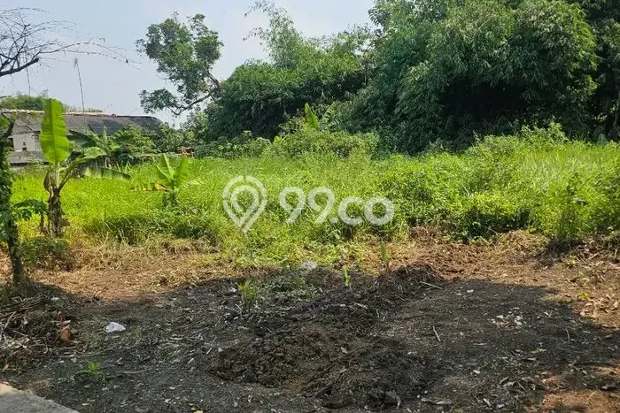 Tanah di Jawilan, Serang Luas 2181m2 Dijual Segera Tanah di Jawilan, Serang Luas 2181m2 Dijual Segera