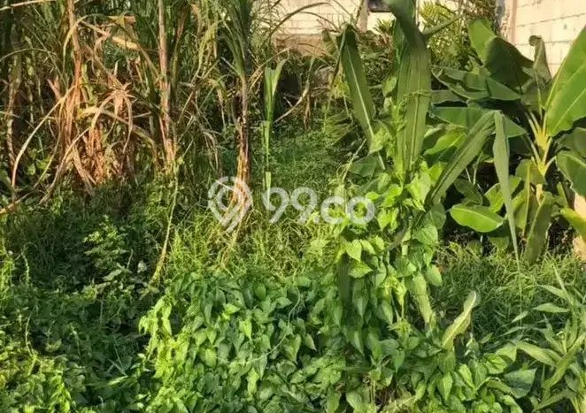 Dijual Tanah Lokasi Poris, Tangerang Seluas 231m2 Dijual Tanah Lokasi Poris, Tangerang Seluas 231m2