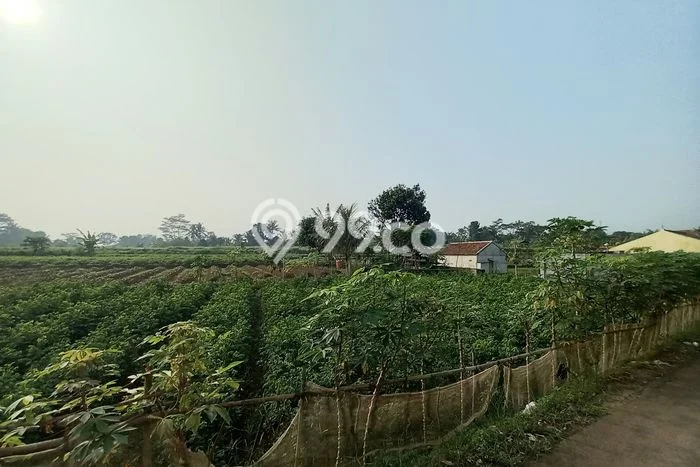 Tanah Dijual Lokasi Ciampea, Bogor dengan Luas Tanah 9600m2 dan Status SHM Tanah Dijual Lokasi Ciampea, Bogor dengan Luas Tanah 9600m2 dan Status SHM