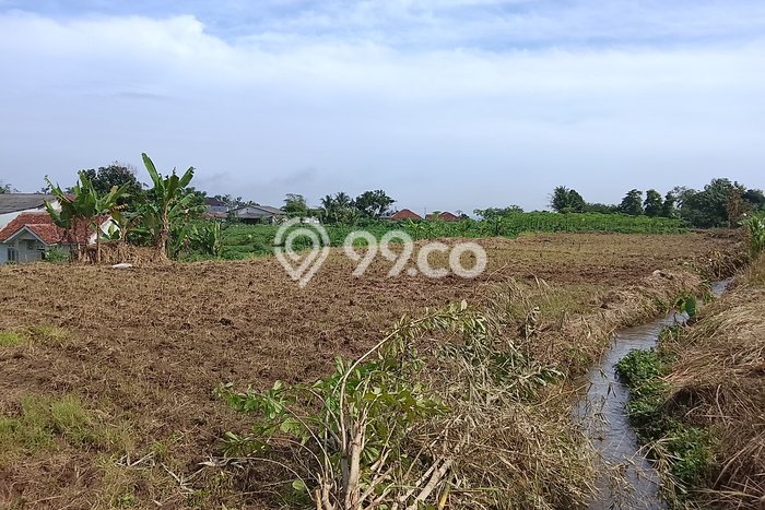 Tanah Dijual Lokasi Ciampea, Bogor dengan Luas Tanah 9600m2 dan Status SHM Tanah Dijual Lokasi Ciampea, Bogor dengan Luas Tanah 9600m2 dan Status SHM