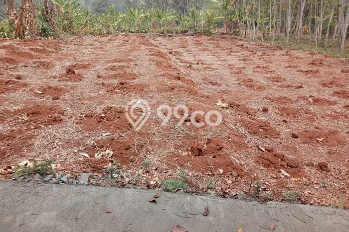 Lahan Kosong Dijual di Cikembar, Sukabumi, Luas 1098m2 Area Strategis Lahan Kosong Dijual di Cikembar, Sukabumi, Luas 1098m2 Area Strategis