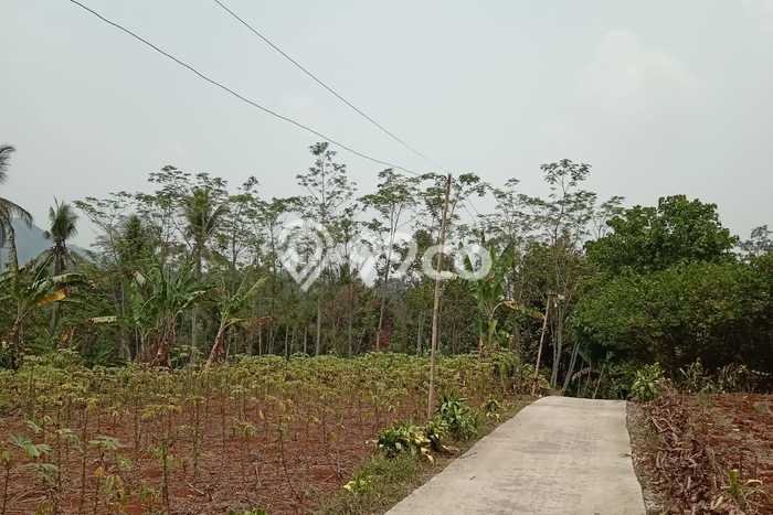 Lahan Kosong Dijual di Cikembar, Sukabumi, Luas 1098m2 Area Strategis Lahan Kosong Dijual di Cikembar, Sukabumi, Luas 1098m2 Area Strategis