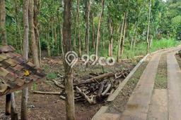 Lahan Kosong Dijual di Paliyan, Gunung Kidul, Luas 1809m2 Area Strategis Lahan Kosong Dijual di Paliyan, Gunung Kidul, Luas 1809m2 Area Strategis