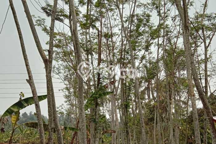 Lahan Kosong Dijual di Cikembar, Sukabumi, Luas 1098m2 Area Strategis Lahan Kosong Dijual di Cikembar, Sukabumi, Luas 1098m2 Area Strategis