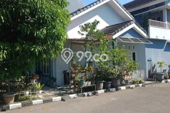 Dijual Rumah 5 Kamar Lokasi Ideal Nyaman dan Strategis di Ciomas Dijual Rumah 5 Kamar Lokasi Ideal Nyaman dan Strategis di Ciomas