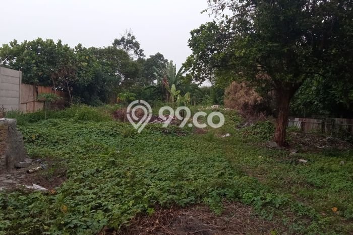 Tanah Dijual Lokasi Pamulang Tangerang Selatan SHM Tanah Dijual Lokasi Pamulang Tangerang Selatan SHM