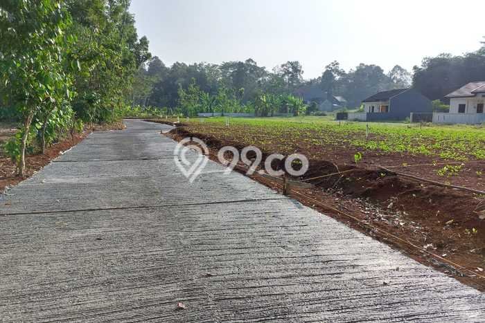 Lahan Investasi Lokasi Gunung Pati Semarang SHM Lahan Investasi Lokasi Gunung Pati Semarang SHM