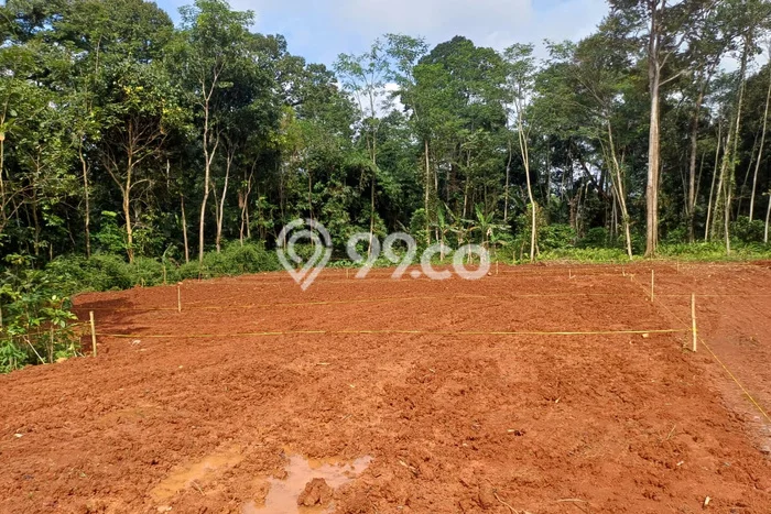 Tanah di Gunung Pati, Semarang Luas 120m2 Dijual Segera Tanah di Gunung Pati, Semarang Luas 120m2 Dijual Segera