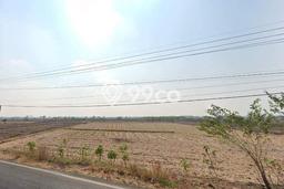 Tanah Kavling di Balongpanggang Dijual dengan Luas 1600m2 Tanah Kavling di Balongpanggang Dijual dengan Luas 1600m2