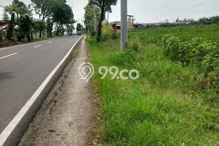 Kavling Tanah Dijual di Mantup Lamongan Spesifikasi 7000m2 Kavling Tanah Dijual di Mantup Lamongan Spesifikasi 7000m2