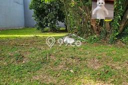 HARGA MENARIK! Tanah di Kota Wisata, Luas 265m2m², Area Nyaman HARGA MENARIK! Tanah di Kota Wisata, Luas 265m2m², Area Nyaman