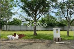 Tanah Kavling di BSD Dijual dengan Luas 98m2 Tanah Kavling di BSD Dijual dengan Luas 98m2