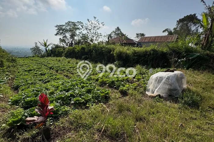 Tanah Dijual Lokasi Baturiti, Tabanan Luas 404m2 Legalitas Aman Tanah Dijual Lokasi Baturiti, Tabanan Luas 404m2 Legalitas Aman