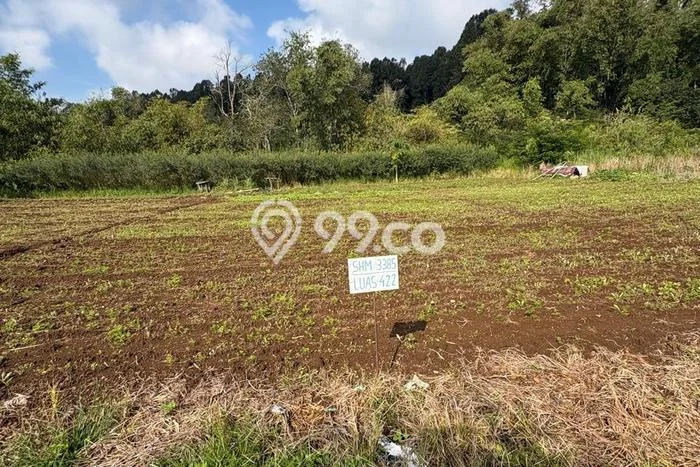 Tanah Dijual Lokasi Baturiti, Tabanan Luas 404m2 Legalitas Aman Tanah Dijual Lokasi Baturiti, Tabanan Luas 404m2 Legalitas Aman