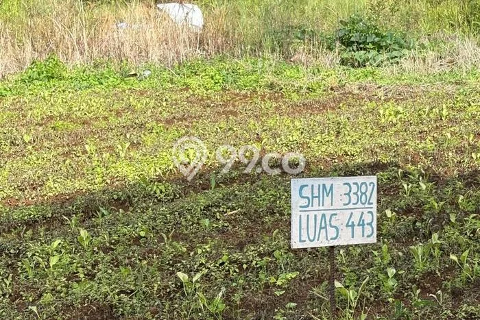 Tanah Dijual Lokasi Baturiti, Tabanan Luas 404m2 Legalitas Aman Tanah Dijual Lokasi Baturiti, Tabanan Luas 404m2 Legalitas Aman