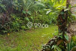 Paling Dicari! Kavling Tanah Disewakan di Ubud, Gianyar Paling Dicari! Kavling Tanah Disewakan di Ubud, Gianyar