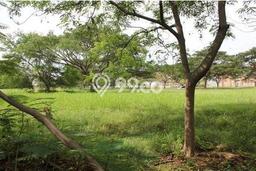 Tanah Kavling Dijual di Pantai Indah Kapuk, Jakarta Utara dengan Luas Tanah 620m2 Tanah Kavling Dijual di Pantai Indah Kapuk, Jakarta Utara dengan Luas Tanah 620m2
