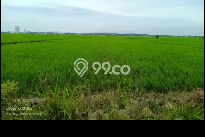 Lahan untuk Dijual Lokasi Karawang Barat, Karawang Luas 3815m2 SHM Lahan untuk Dijual Lokasi Karawang Barat, Karawang Luas 3815m2 SHM