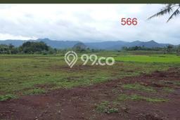 Kavling Tanah di Ciseeng Dijual Luas 85000m2 Legalitas SHM Kavling Tanah di Ciseeng Dijual Luas 85000m2 Legalitas SHM