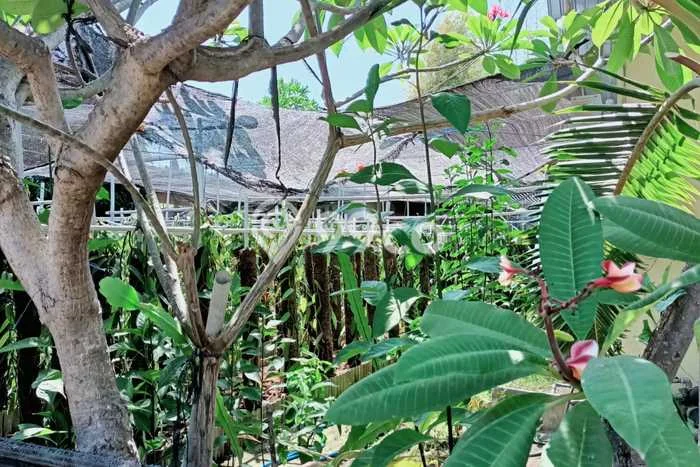 Lahan Kosong Dijual di Buleleng dengan Area 13050m2 Lahan Kosong Dijual di Buleleng dengan Area 13050m2