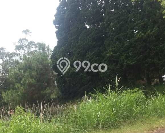 Tanah Kavling untuk Dijual di Lembang Bandung Barat 1400m2 Tanah Kavling untuk Dijual di Lembang Bandung Barat 1400m2