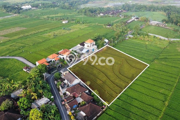 Tanah Dijual Lokasi Strategis di Tabanan dengan Luas 2600m2 Tanah Dijual Lokasi Strategis di Tabanan dengan Luas 2600m2