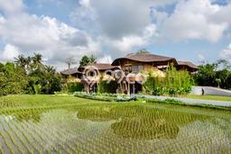 Dijual Rumah Mewah Exclusive di Ubud, Gianyar Dijual Rumah Mewah Exclusive di Ubud, Gianyar