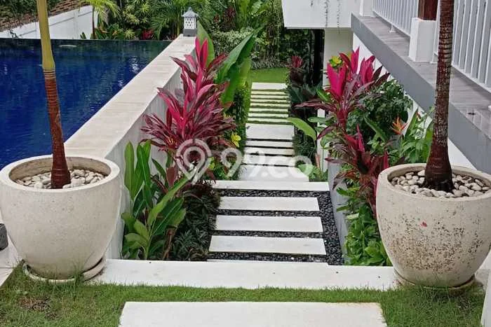 Hunian Modern dengan LT 590m2 & LB 500m2 Dikontrakkan di Canggu Hunian Modern dengan LT 590m2 & LB 500m2 Dikontrakkan di Canggu
