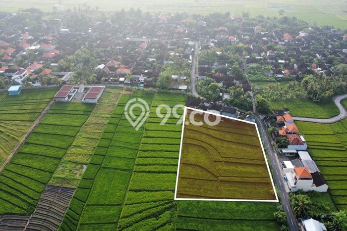 Tanah Dijual Lokasi Strategis di Tabanan dengan Luas 2600m2 Tanah Dijual Lokasi Strategis di Tabanan dengan Luas 2600m2