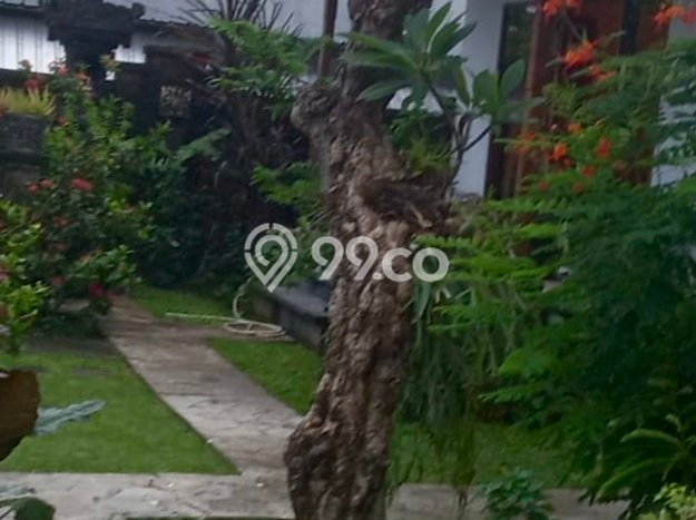 Dijual Rumah Mewah Exclusive di Denpasar Timur, Denpasar Dijual Rumah Mewah Exclusive di Denpasar Timur, Denpasar