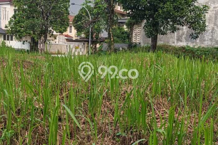Tanah Siap Bangun Dijual di Bogor Punya Luas 397m2 Tanah Siap Bangun Dijual di Bogor Punya Luas 397m2