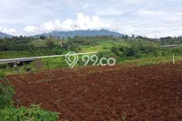 Jarang Ada! Tanah di Ciambar Punya Luas 1000m2 AJB Jarang Ada! Tanah di Ciambar Punya Luas 1000m2 AJB